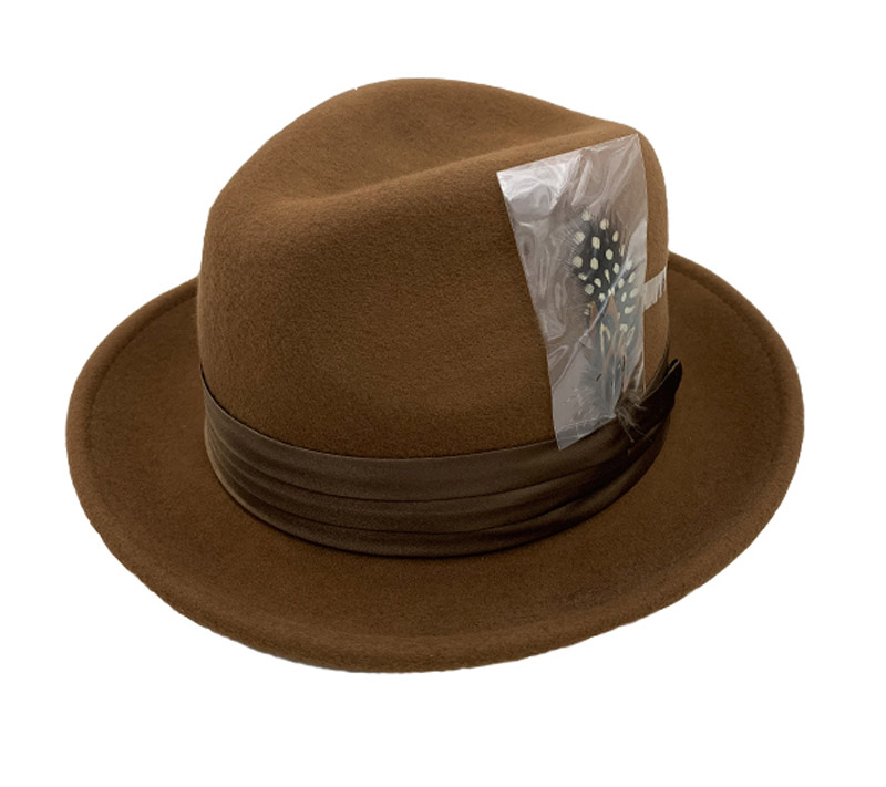 Wool fedora hat with feather